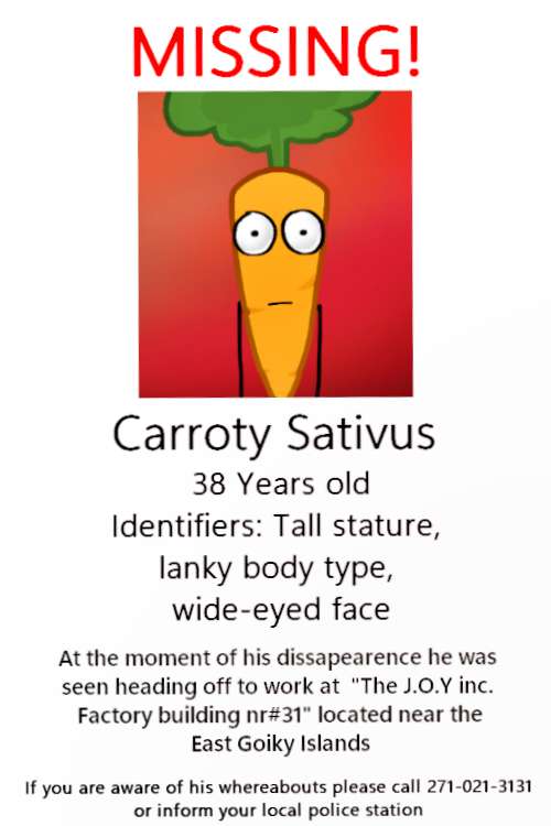 This one quite puzzles me, I haven't really found much about this person aside from this missing poster and some company reviews he posted, he used a lot of colorful language to express himself that's for sure! Apparently he has been having some issues with his family before he went missing and some people were
saying they were responsible?? That is VERY immature just to just theorize about missing people like that!